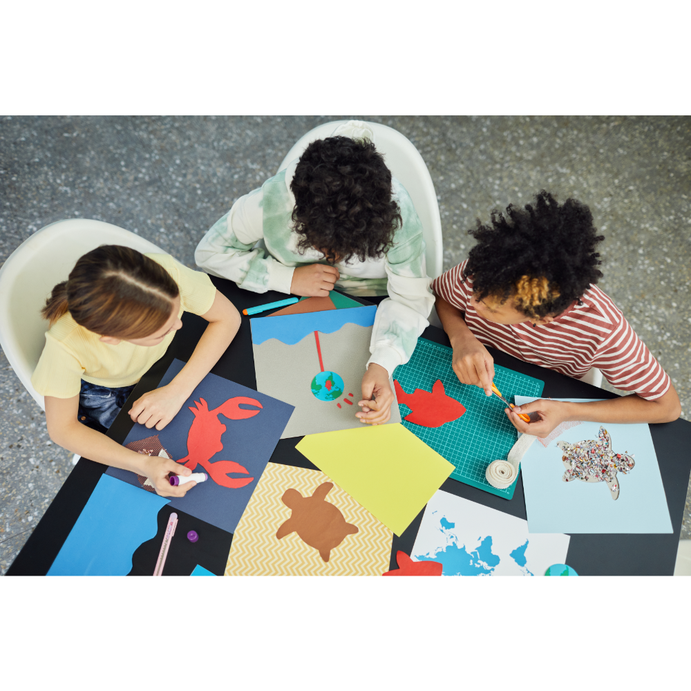 Pilot survey to define the social stories scenarios of PASS4Autism